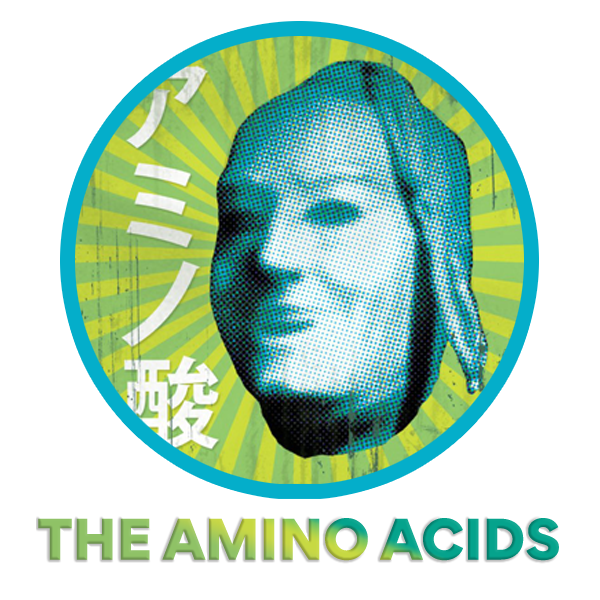 The Amino Acids